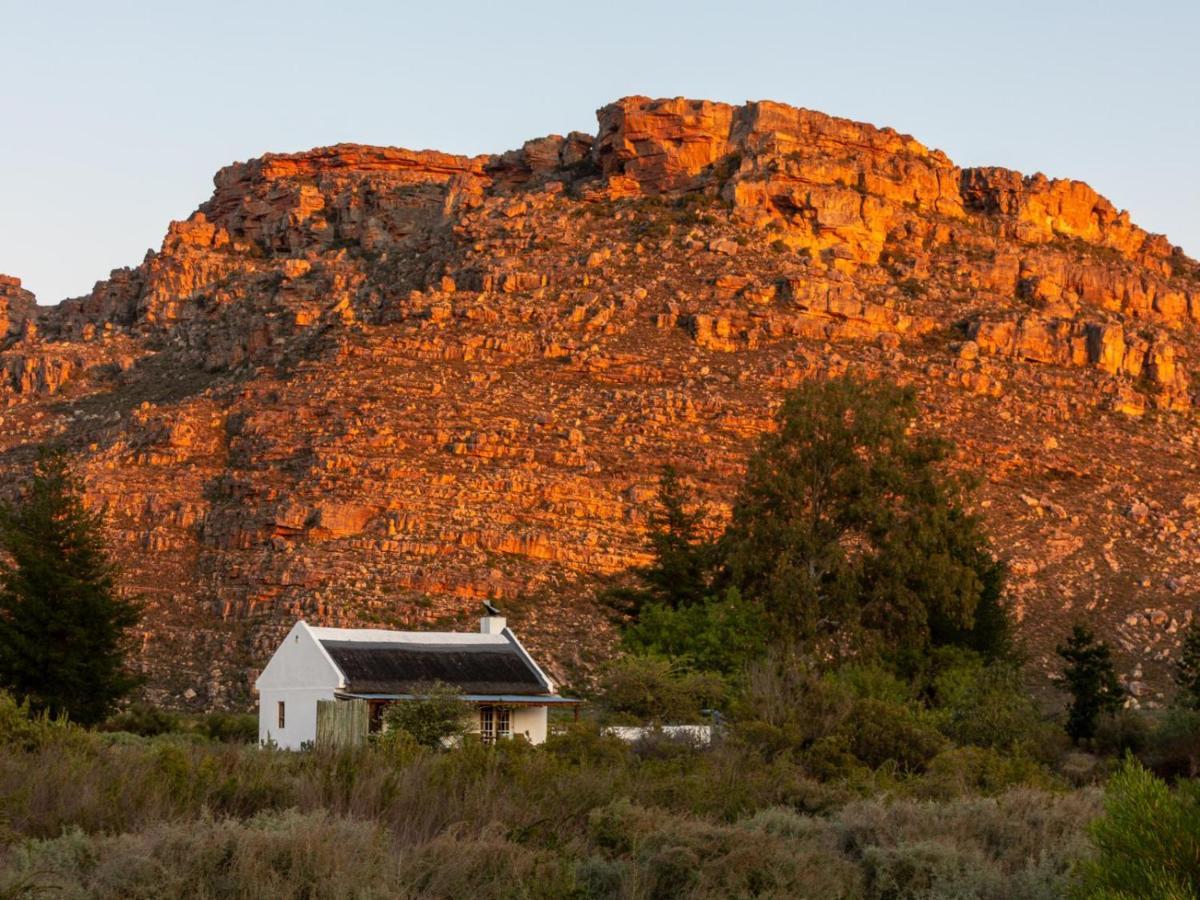 Alpha Excelsior Guest Farm Villa Clanwilliam Eksteriør billede