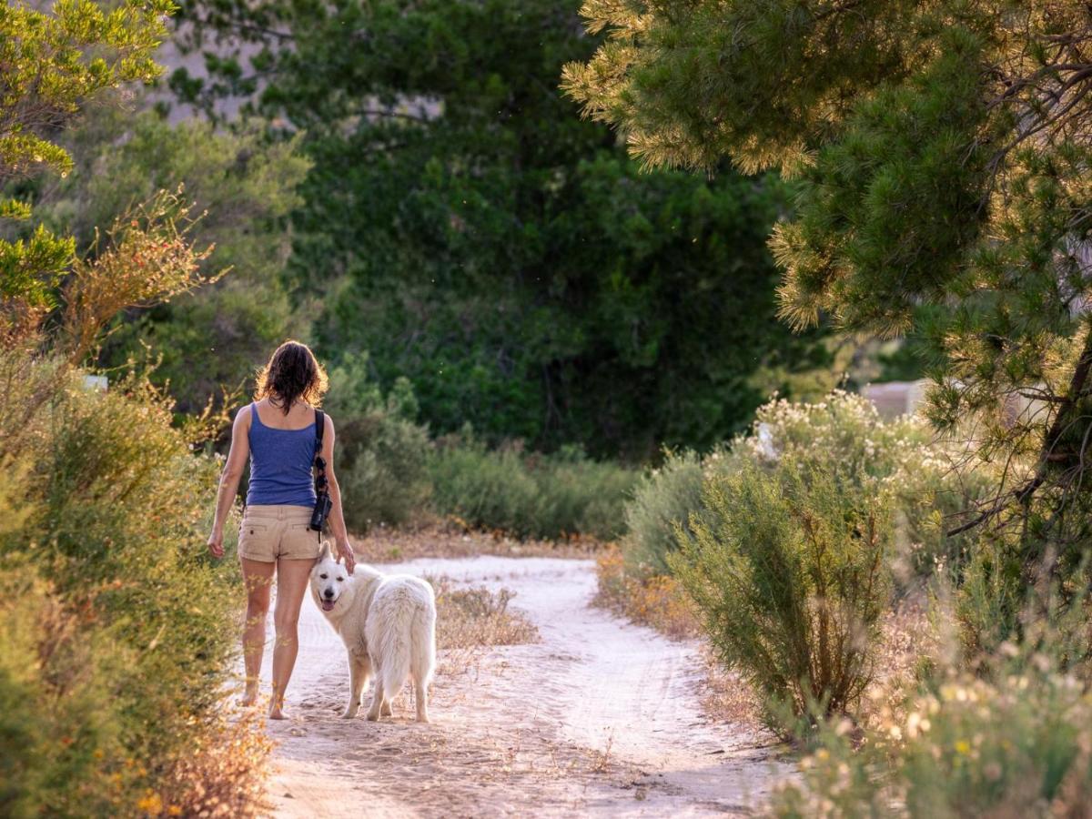 Alpha Excelsior Guest Farm Villa Clanwilliam Eksteriør billede