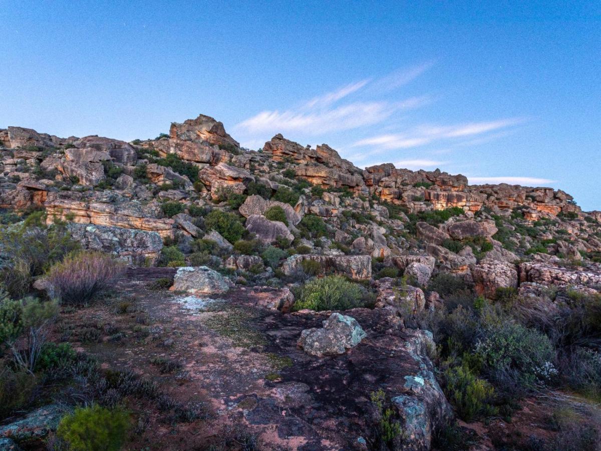 Alpha Excelsior Guest Farm Villa Clanwilliam Eksteriør billede