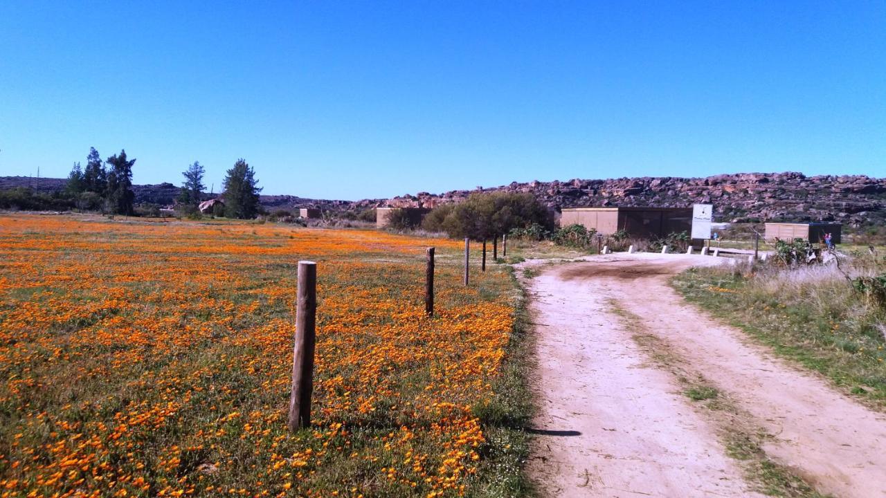 Alpha Excelsior Guest Farm Villa Clanwilliam Eksteriør billede