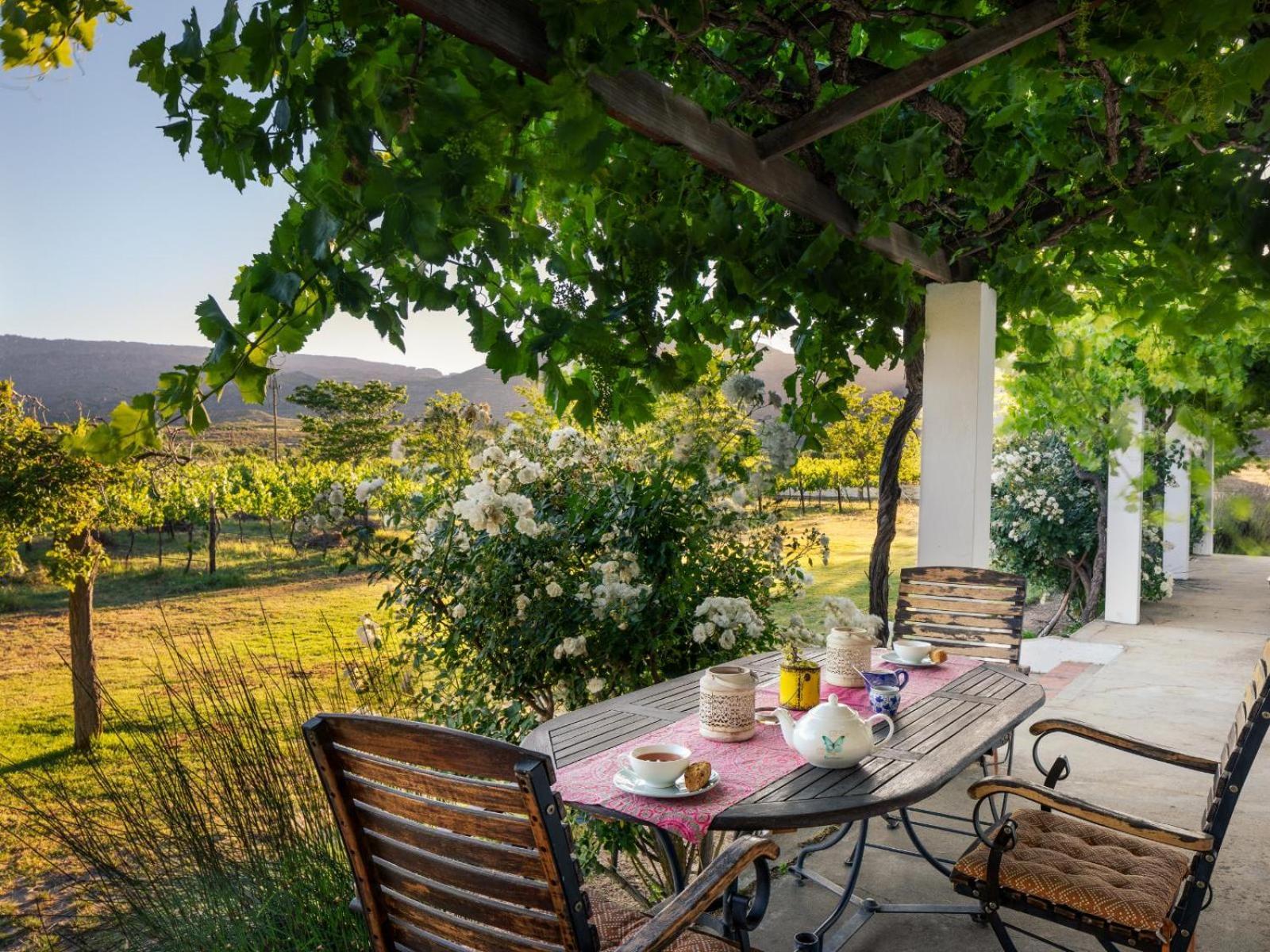 Alpha Excelsior Guest Farm Villa Clanwilliam Værelse billede